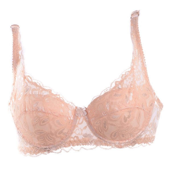 Sexy Underwire Padded Up Embroidery Lace Bra | Coins Shopy